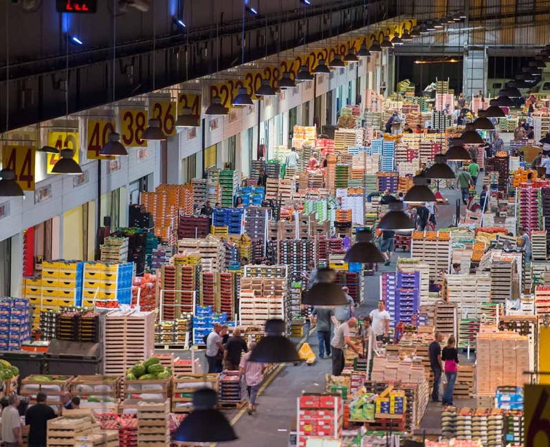 Restructuration et extension du Marché d’Intérêt National de Bordeaux